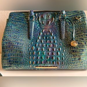 Brahmin Finely carryall